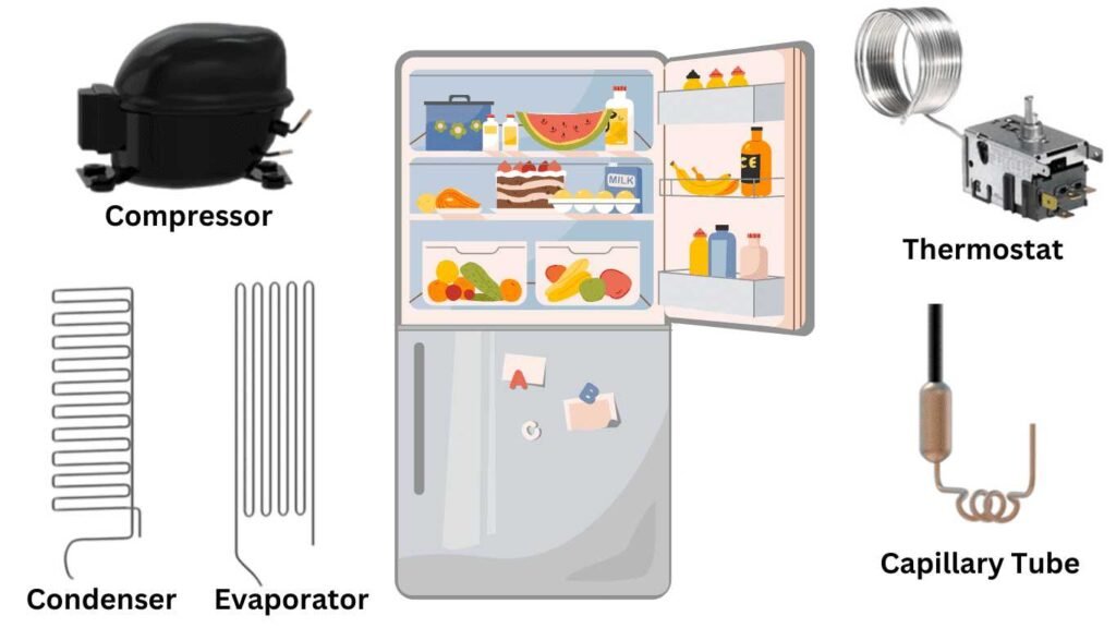 Main components of a refrigerator