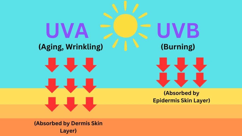 How Does Sunscreen Work To Protect Your Skin from UV Rays and UVA vs UVB