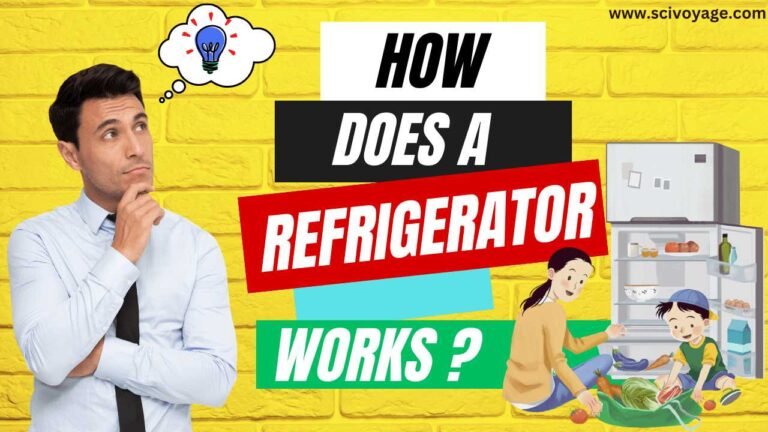 How does a refrigerator works to keep food fresh?