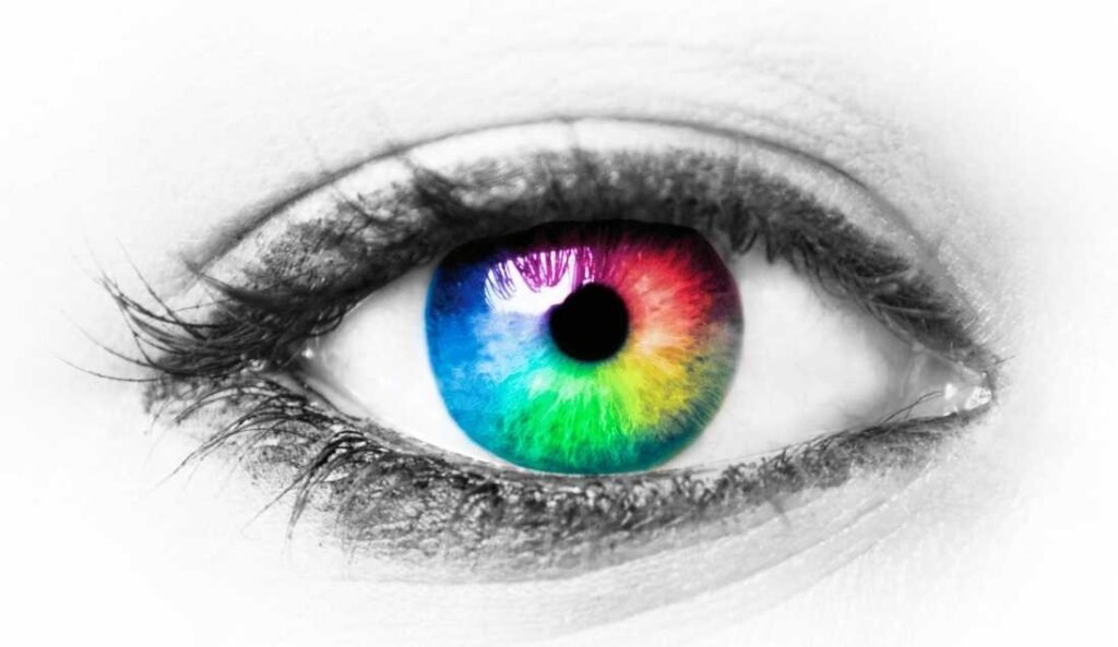 How the Human Eye Perceives Color